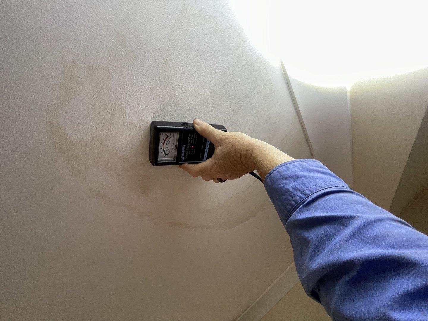 Upper Hunter Pest and Building Inspections - Expert Service