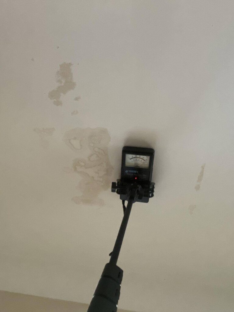 Mould Inspection Hunter Valley