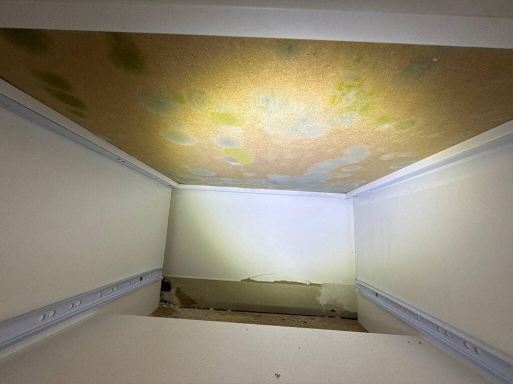 Mould Inspection Hunter Valley