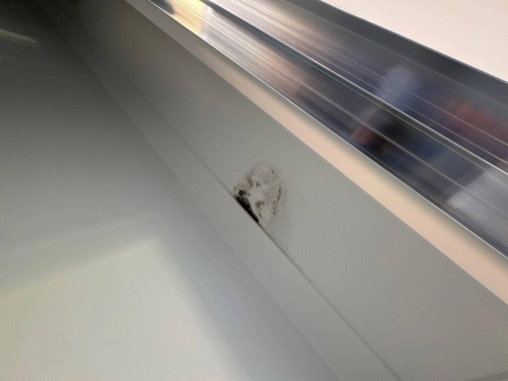 Mould Inspection Hunter Valley