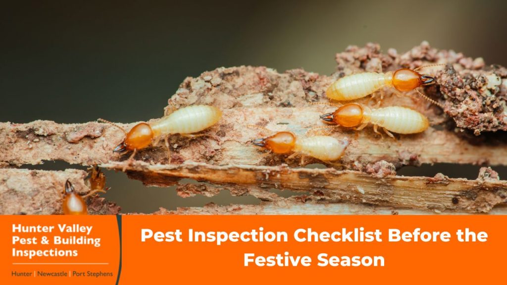 Pest Inspection Checklist Before the Festive Season