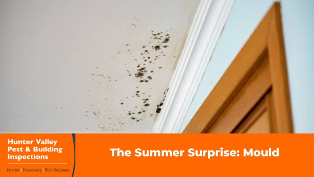 Small patch of mould growing on a ceiling cornice due to humidity